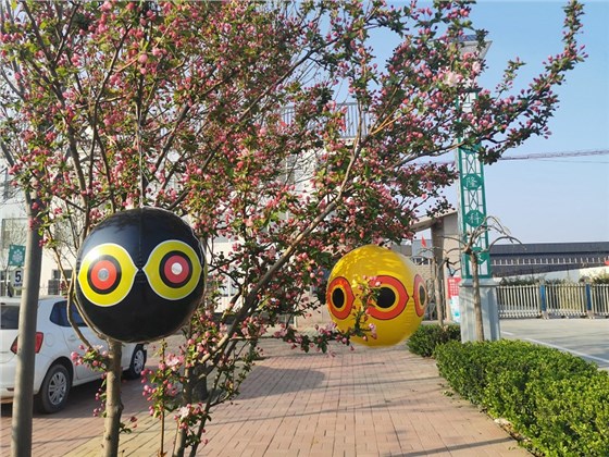 要防鳥，不如試試驅(qū)鳥氣球