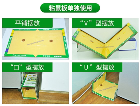 粘鼠板怎么擺放才能粘到老鼠