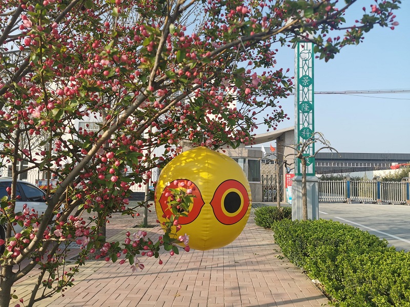 驅(qū)鳥氣球