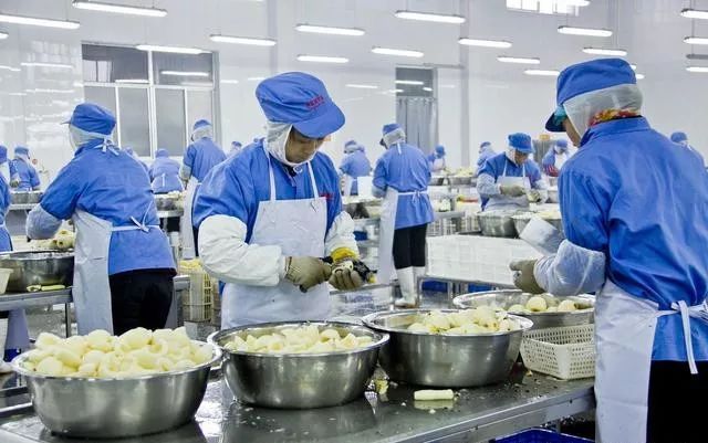食品加工廠內環(huán)境哪些地方需要放捕鼠器械
